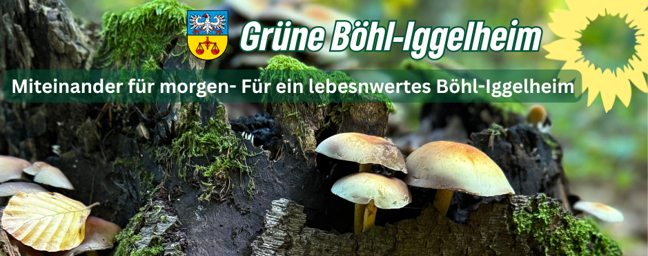 Grüne Böhl-Iggelheim.header